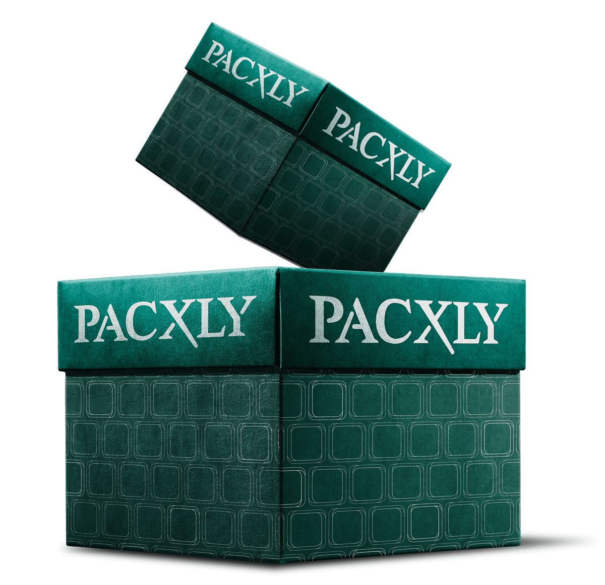 PACXLY Packaging Boxes